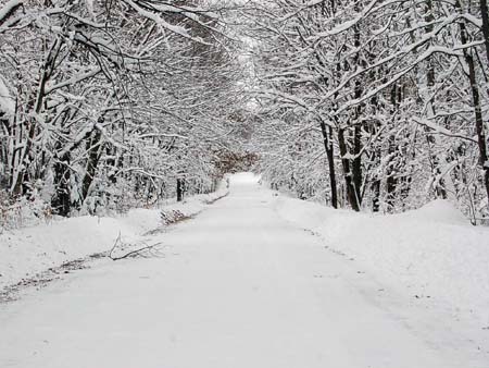 Snow Covered Road