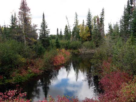 Fall In Northern Ontario