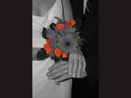 Wedding Rings