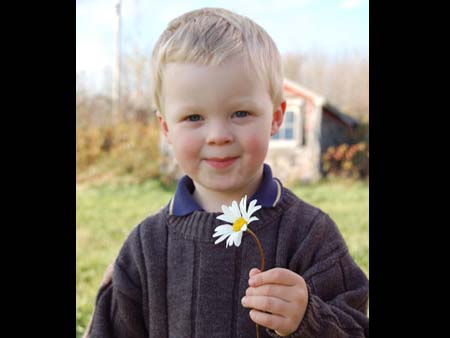 See My Flower