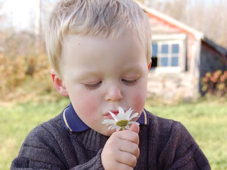 Smell the Flower