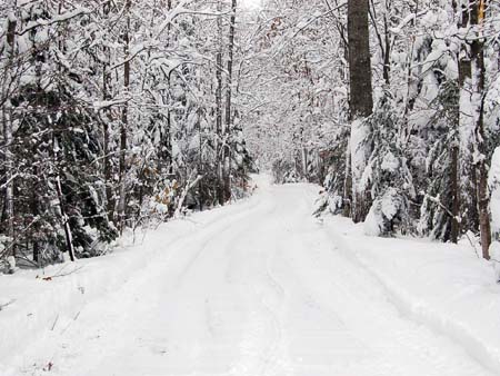 Winter Drive
