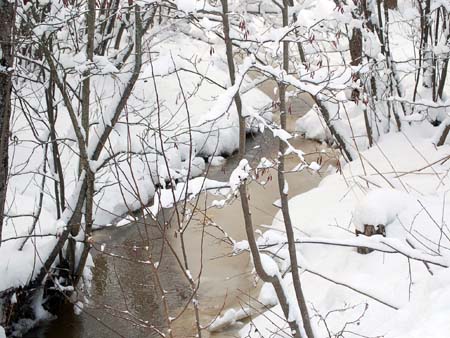 Winter Creek