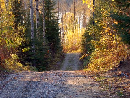 Autumn Drive